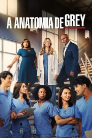 Greys Anatomy