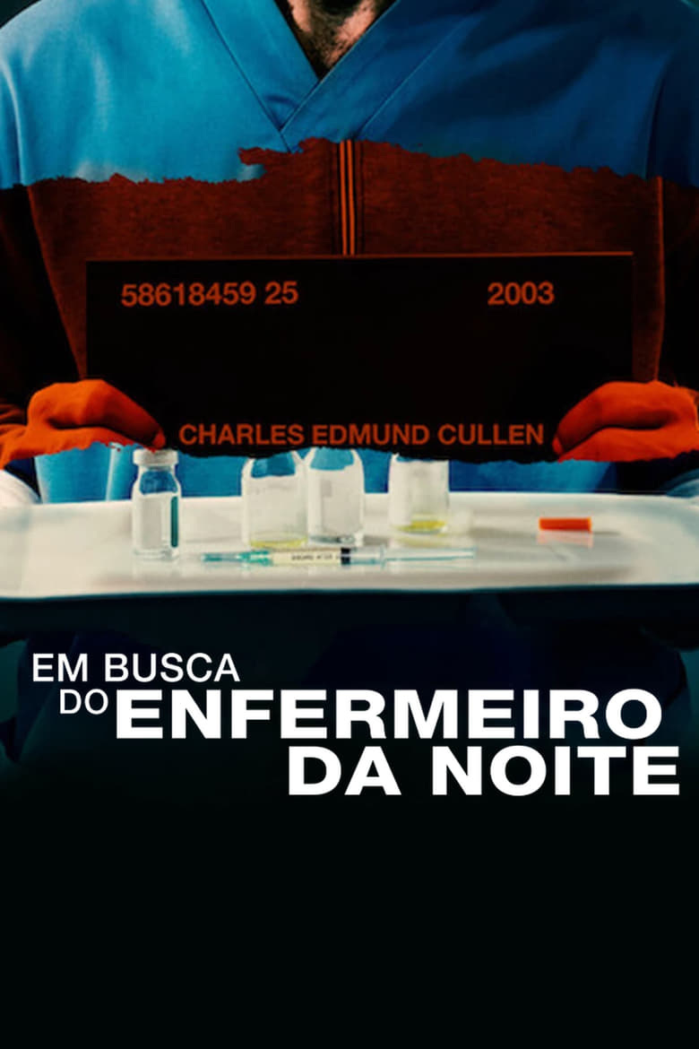 Em Busca do Enfermeiro da Noite